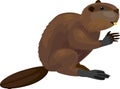 Cartoon European beaver Castor fiber